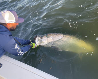 Cocoa Beach Report Photo 1
