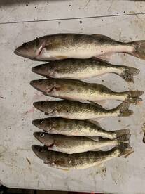 Killer jig bite 