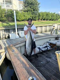 Hungy Tuna !