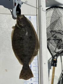 Somers Point Report Photo 2
