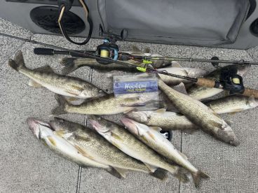 Half day morning walleye trip