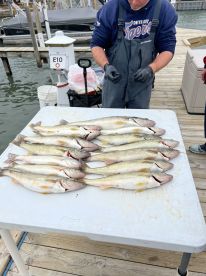 Top notch skipper and mate