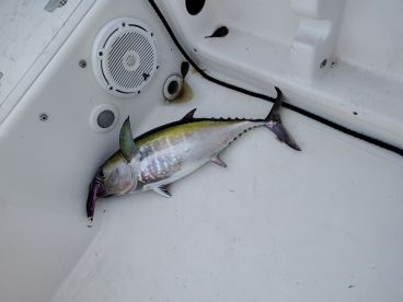 Captain Tyler was very informative 