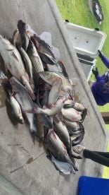 Mother\u2019s Day trip