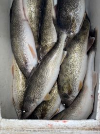 Going with Mitch is like going to a college class 