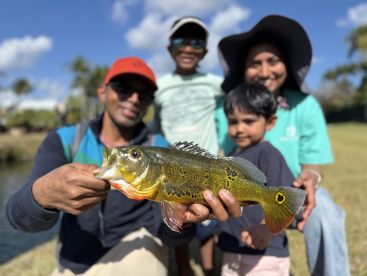 Fun Land Trip with Kids