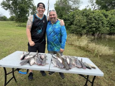 Plenty of fillets to take home