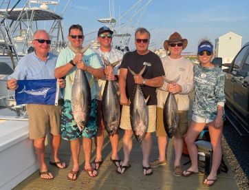 Safe bet with the Bet-sea