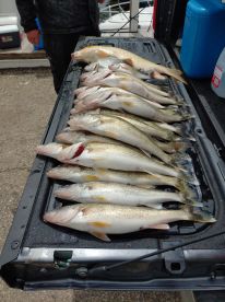 Outstanding fishing trip with friends