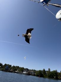 Half Day Morning Fishing Charter