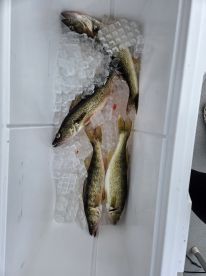 A fun day of fishing!