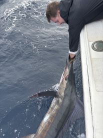 We're on a mission for marlin!