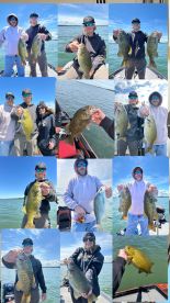 All Star of Fishing Guides! 