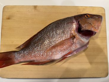 Awesome Experience with Experienced Crew