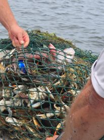 Can’t Wait to Go Back!