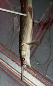 What a great experience 