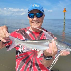 Captain Steve Knows Where the Fish Are