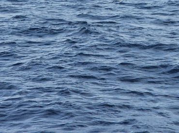 Need a nap, book this charter