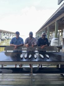 Best Charter in the 409