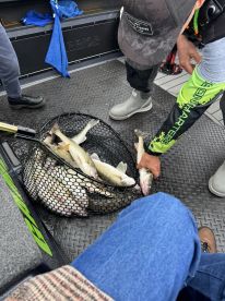 HIGHLY RECOMMENDED!  Truly a 5 star experience.