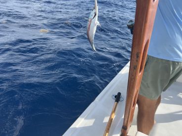 Half day off shore charter
