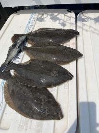 Even in bad weather we still caught fish!