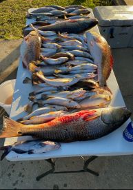 Full day trip with captain Frank 