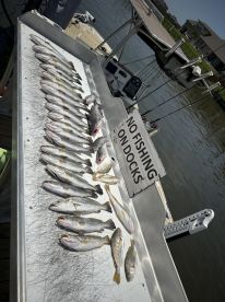 Highly Recommend Fishing with Frank with full spectrum fishing charters.