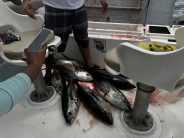 Awesome all the way around!!