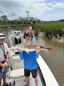 Redfish