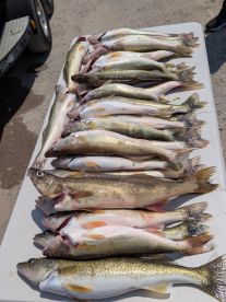 Amazing first fishing trip on Saginaw Bay!