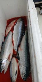 What an awesome guys trip!