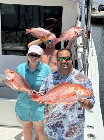 Everything was great and plenty of room! 