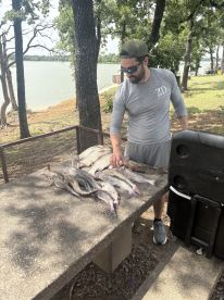 5 species in 4 hours