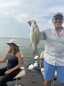 5 species in 4 hours