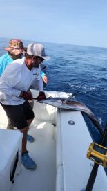 Captain Chris is GREAT!!!