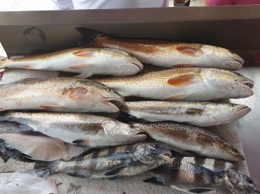 Amazing day on the water