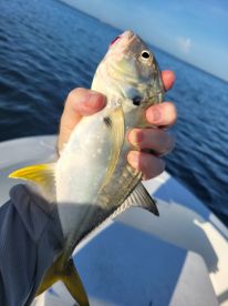 Great day in the waters of Tampa Bay