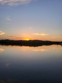 Great day in the waters of Tampa Bay