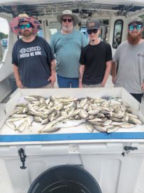 Another great experience.