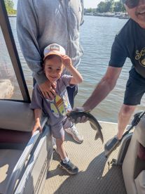 Amazing for Kids and Seniors