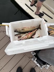 We had a great time he made my wife feel great she never been we got a lot of fish we made their and back safe and had the time of our life so far he will always be use buy us game and friends