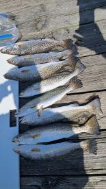 Great time, caught a bunch of fish! 