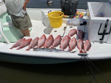 Best Damn Experience