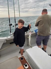 Great guide for kids