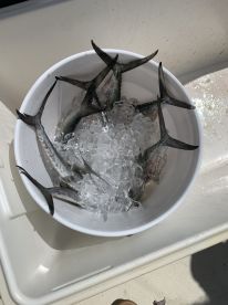 First Family Fishing Trip! 