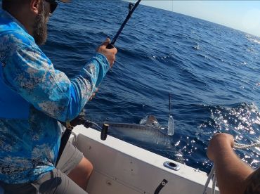 Sharkin’ ain’t easy