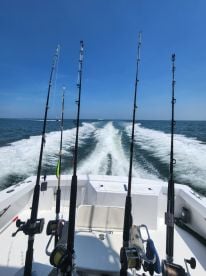 C Level was awesome!!!