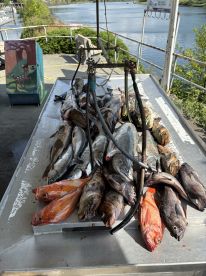 Great day on the water