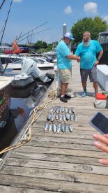 Fish Reel Obsession. 